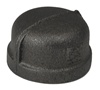 Malleable Iron Female Pipe Cap