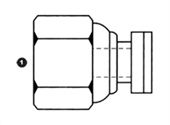 9033 | BSPP Swivel Cap