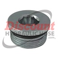 SS-6409 | Straight Thread O-Ring Hex Socket Plug