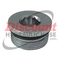 SS-6409 | Straight Thread O-Ring Hex Socket Plug